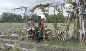 di Dukuh Kendal Sari RT 04/06 Ds Kwarasan