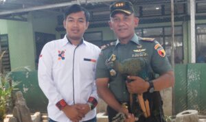 Danrem 081/DSJ, Kolonel Inf H. Sugiyono menerima burung Merak betina dari Balai Besar Konservasi Sumber Daya Alam (KSDA) Jawa Timur wilayah II Bojonegoro melalui Kahfi Corp, bertempat di Makorem 081/DSJ, Jl. Pahlawan No. 50 Kota Madiun, Selasa (24/10/2023). Penyerahan dilakukan oleh CEO Kahfi Corp, Siroojul Kahfi.