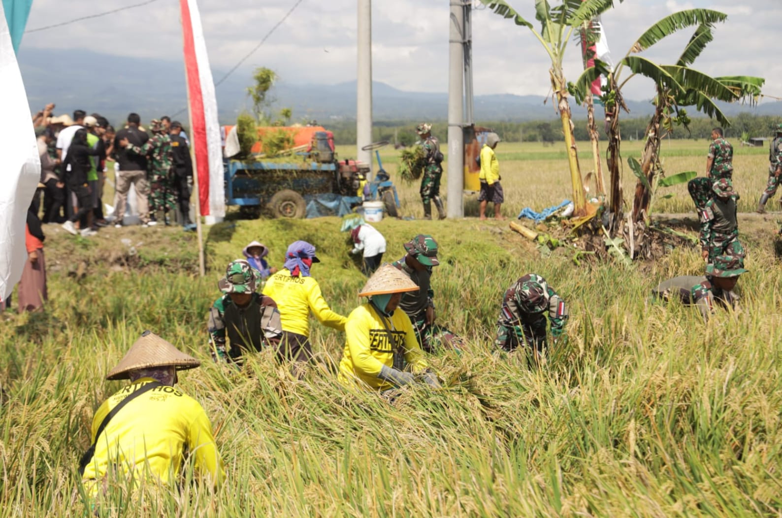 personelnya untuk membantu para petani di Desa Sekarputih, Kecamatan Widodaren, Kabupaten Ngawi yang tengah melakukan panen raya.