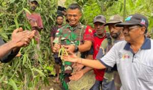 Tanam Bibit Vanili Budidaya Bersama Poktan, Dansatgas Yonif 122/TS: Semoga Bisa Tingkatkan Ekonomi Masyarakat!