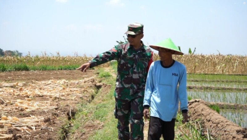 Berkat Program TNI AD, Petani Kini Bisa Tanam Padi di Musim Kemarau
