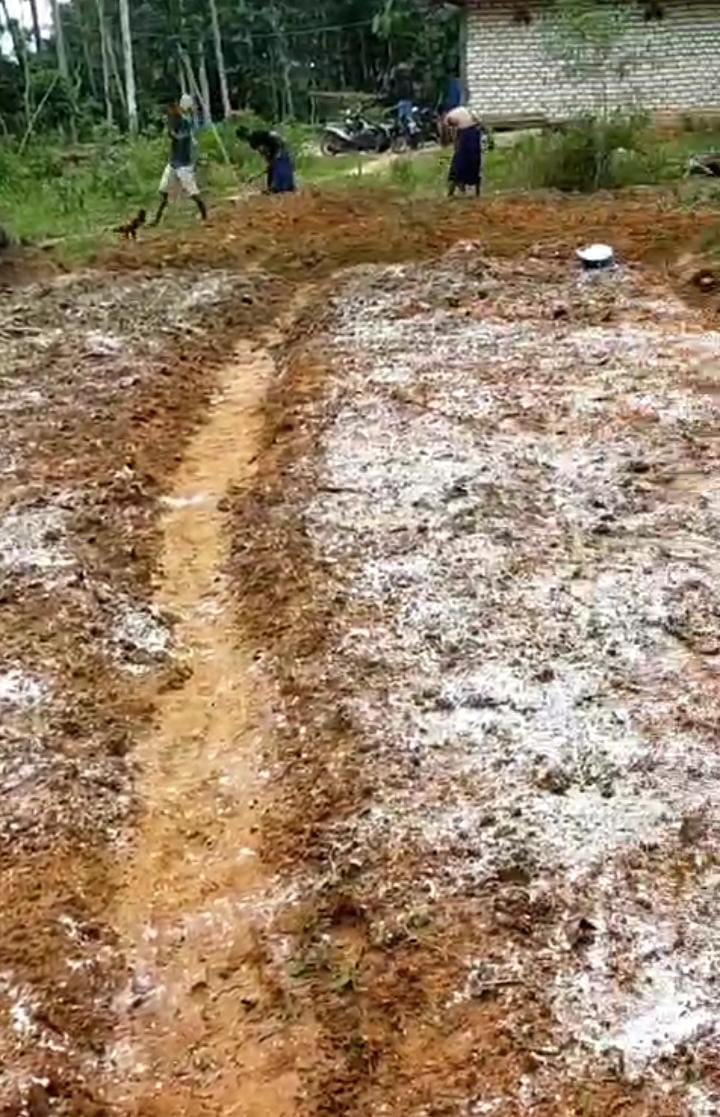 Kembangkan Ekonomi Masyarakat, GP Ansor Mandung Olah Lahan Tidur Jadi Lahan Produktif