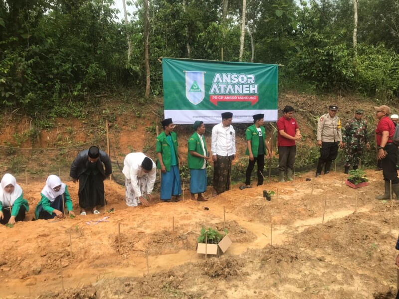 029b2058-b12a-4209-9af3-069637192676