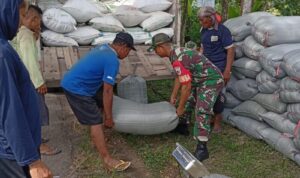 Dampingi Petani, Babinsa Kodim 0802/Ponorogo Sukseskan Program Sergab