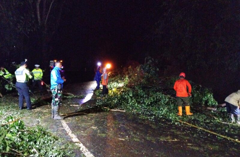 Pohon Tumbang di Jalur Nasional, TNI-Polri dan BPBD Trenggalek Sigap Lakukan Penanganan