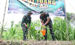 Cegah Banjir di Kebonduren, Prajurit Korem 081/DSJ Perkuat Tanggul Lewat Penghijauan Strategis