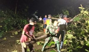 Pohon Tumbang Putus Akses Simo–Klego, Babinsa dan Warga Gotong Royong Buka Jalan