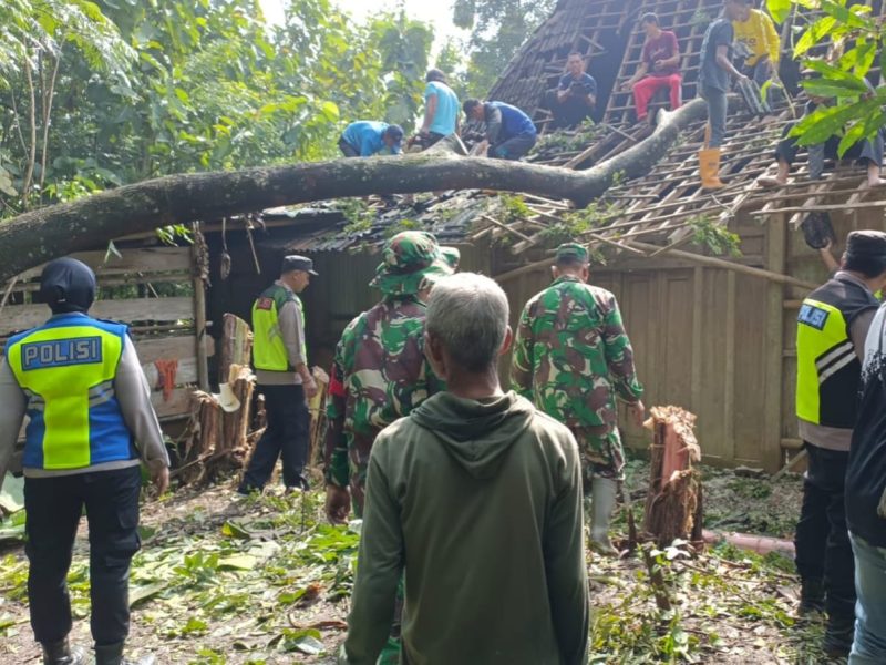 TNI-Polri dan Warga Evakuasi Pohon Tumbang yang Timpa Rumah di Boyolali
