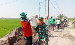Dari Cor Jalan hingga Data Panen, Kiprah Babinsa di Sragen Perkuat Ketahanan Desa