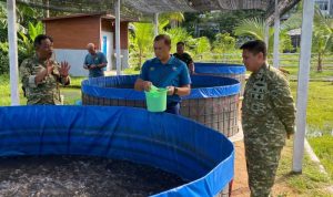 TNI AL Perkuat Ketahanan Pangan di Sorong, Kodaeral XIV Kembangkan Kebun dan Budidaya Ikan