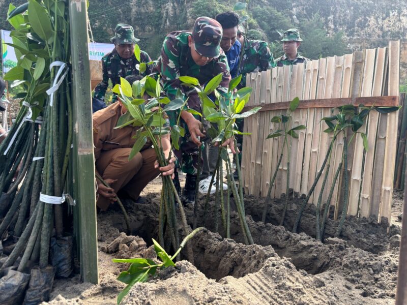Menjaga Pesisir dari Abrasi, TNI dan Warga Tulungagung Tanam Mangrove di Cemoro Sewu